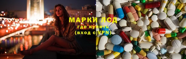 стаф Алексин