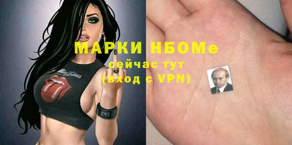 стаф Алексин