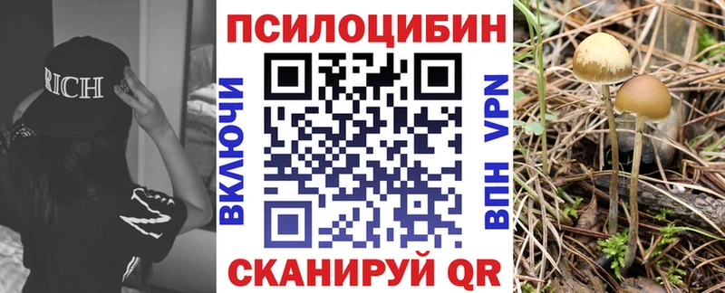 Галлюциногенные грибы MAGIC MUSHROOMS Печоры